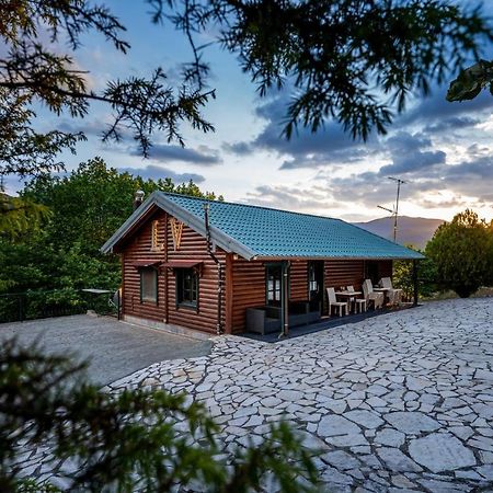 Chalet Likouresi Village Karpenísion Zewnętrze zdjęcie