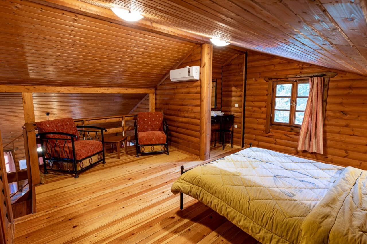 Chalet Likouresi Village Karpenísion Zewnętrze zdjęcie